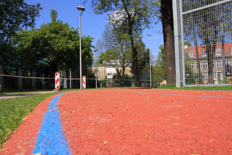 IMG 0895.JPG