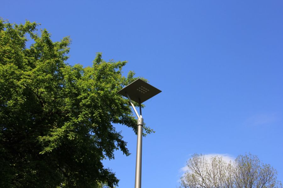 IMG 0899.JPG