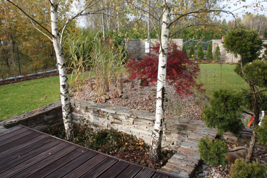 IMG 5582.JPG