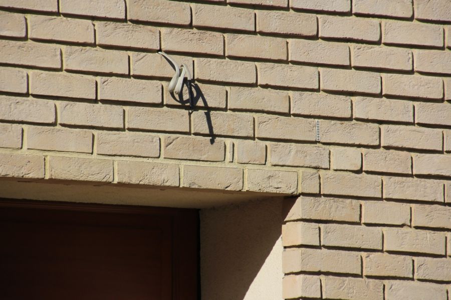 IMG 8735.JPG