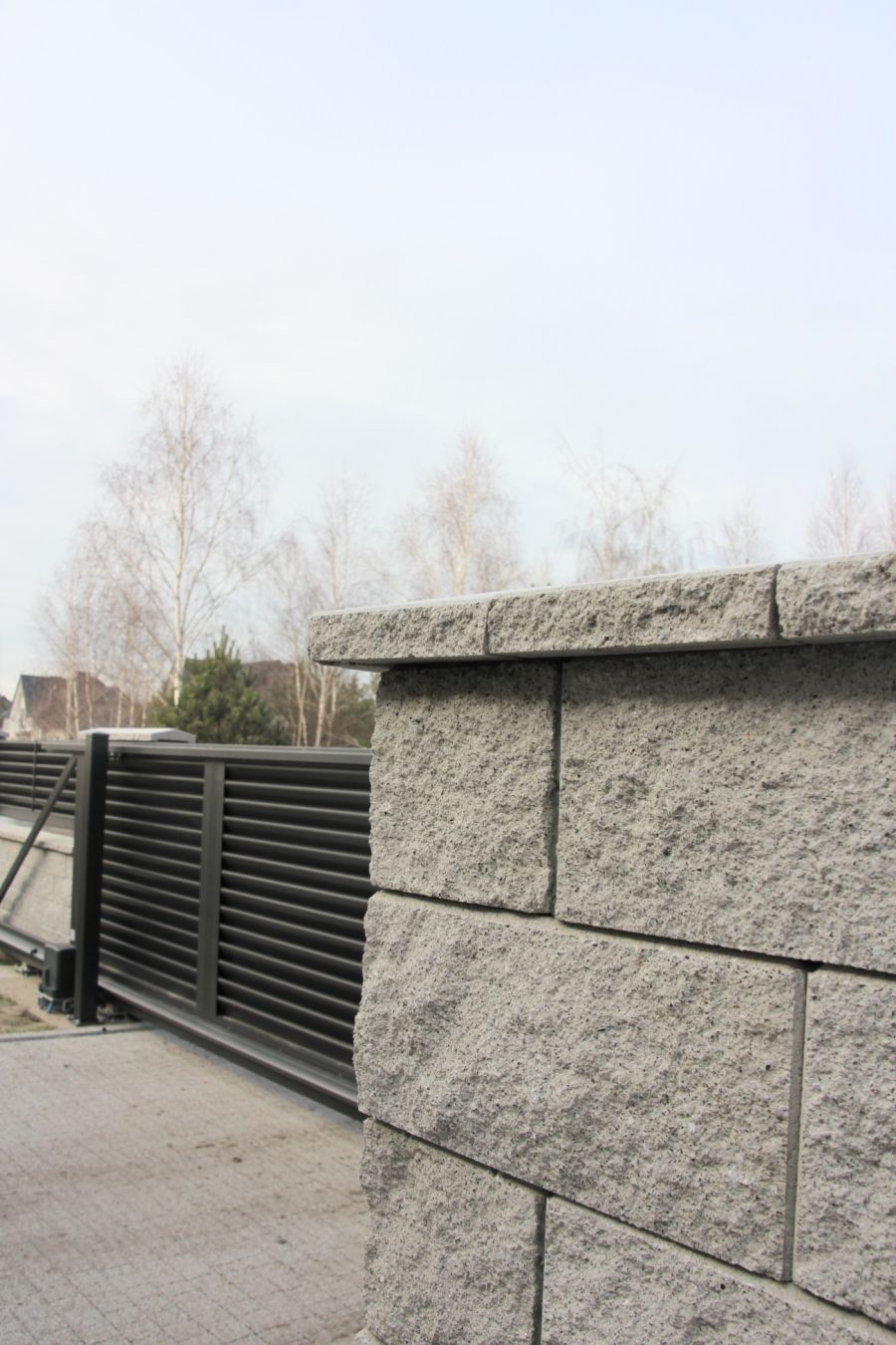 IMG 5306.JPG