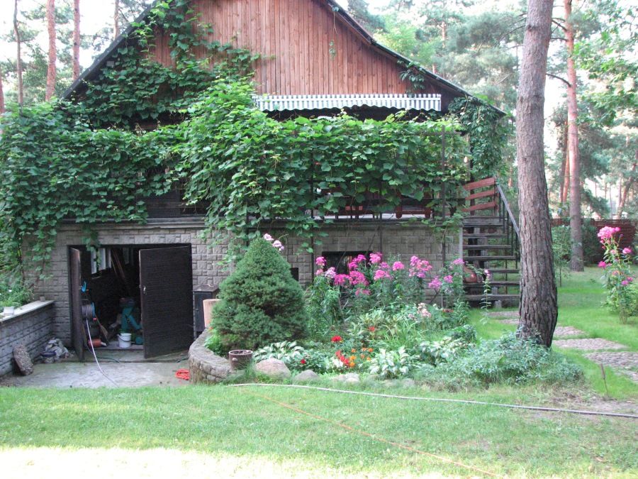 IMG 6231.JPG