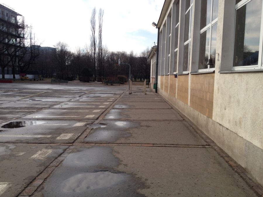 IMG 2858.JPG