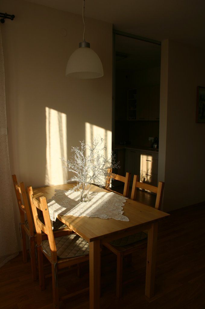 Img 4885